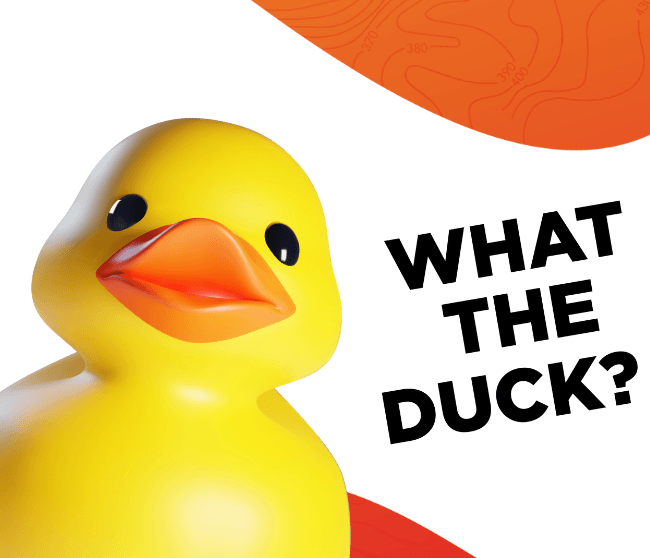 Gumikacsa-vadászat és titkosírás nyomozás a Westendben