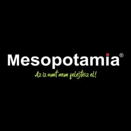 Mesopotamia store logo
