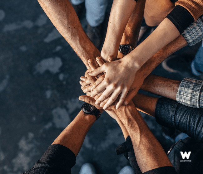 A fák titkos élete - mesecoaching felnőtteknek